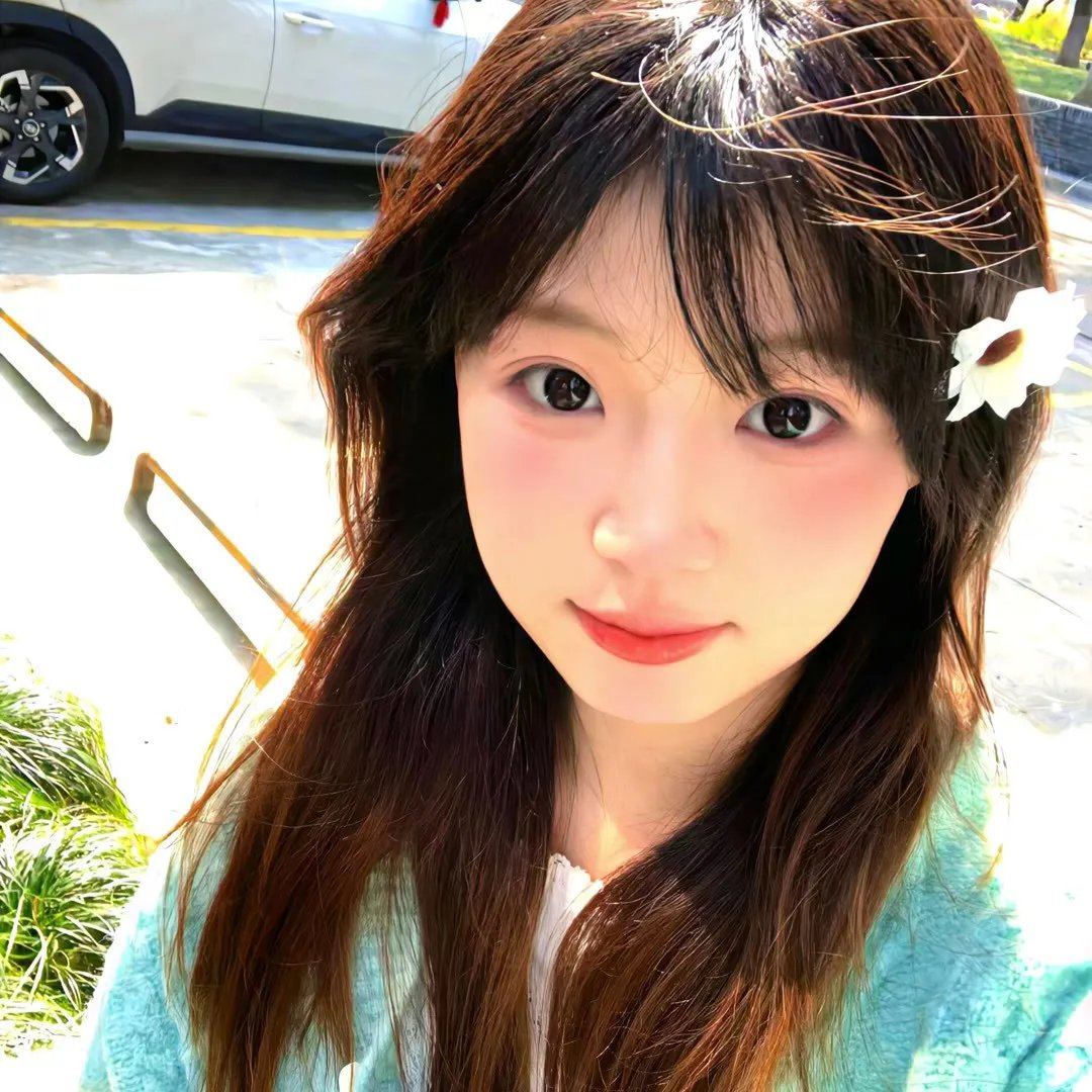 芙蓉春色